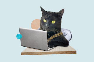Katze vor Computer
