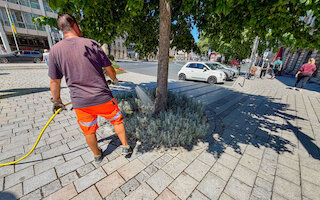 Hitze und Dürre setzen den rund 26.000 Bäumen im Stadtgebiet stark zu. Mit einem Betrag für den Baumpflegefonds kann jeder etwas zur Bewässerung von Eiche, Linde & Co. beitragen. Foto: Stadt Bayreuth