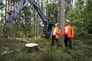 Bild von zwei Personen im Wald